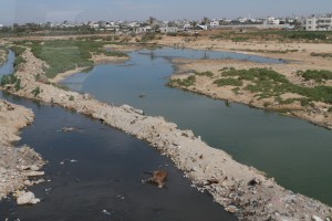 The United Nations reports that 90 – 95 percent of Gazans do not have access to clean water.  